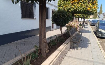 MEDIO AMBIENTE | REMOZAMIENTO DE LAS ZONAS VERDES DE LA CALLE MARÍA AUXILIADORA, RESIDENCIA DE MAYORES Y PODA DE ROSALES DEL PARQUE «ÁRBOL DEL AMOR»