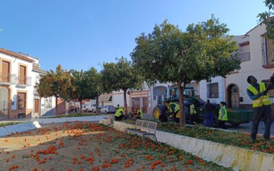 MEDIO AMBIENTE | RECOGIDA DE NARANJA EN EL BARRIO DEL FERROBÚS