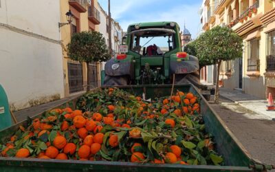 MEDIO AMBIENTE | CONTINÚA LA RECOGIDA DE NARANJA EN LAS CALLES Y PLAZAS DE VILLA DEL RÍO