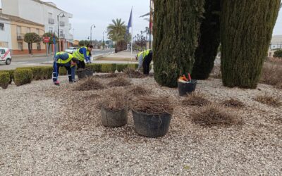 MEDIO AMBIENTE | LABORES DE JARDINERÍA EN DIFERENTES PUNTOS DE LA LOCALIDAD