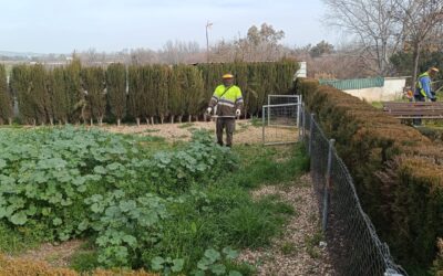 MEDIO AMBIENTE | LABORES DE JARDINERÍA EN LOS JARDINES DE LA PAZ Y DEL «MIRADOR DE LAS ACEÑAS»