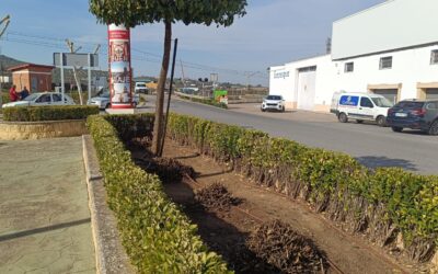 MEDIO AMBIENTE | LABORES DE JARDINERÍA EN LOS PARQUES SITUADOS EN LA CALLE MADRID Y EN EL MIRADOR DE LAS ACEÑAS