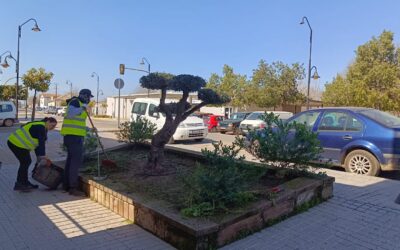 MEDIO AMBIENTE | LABORES DE JARDINERÍA EN DIFERENTES ESPACIOS DE LA LOCALIDAD