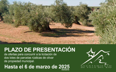 TRANSPARENCIA | PROCEDIMIENTO ABIERTO PARA LA PRESENTACIÓN DE OFERTAS PARA LA LICITACIÓN DE DOS LOTES DE PARCELAS RÚSTICAS DE OLIVAR DE PROPIEDAD MUNICIPAL