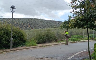 URBANISMO Y MEDIO AMBIENTE | LIMPIEZA DE ALCORQUES Y MANTENIMIENTO DE ZONAS VERDES 