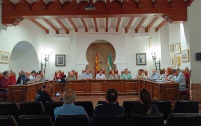  HOY | SESIÓN PLENARIA ORDINARIA 30/4/2025