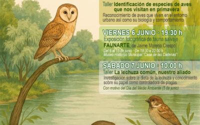 JORNADAS MEDIOAMBIENTALES “CONOCE LA FAUNA DE TU ENTORNO VILLARRENSE” Y EXPOSICIÓN «FAUNARTE» 